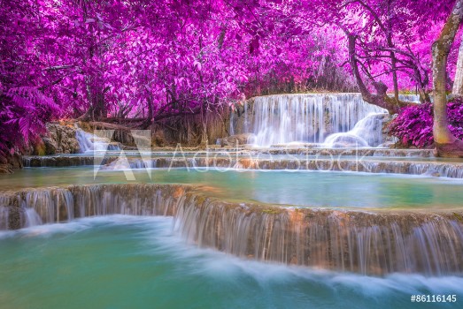 Picture of Waterfall in rain forest Tat Kuang Si Waterfalls at Luang praba